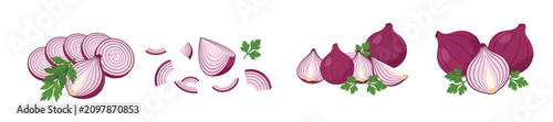 Foto Fresh red onion bulbs and slices vector set, minimalist watercolor style purple onion rings illustration, chopped shallots with parsley isolated on white background