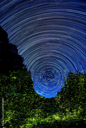 星巡る夜　水面を飛び交う蛍