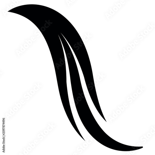 Fotografie Swoosh tail curved streamline feather motion aerodynamic tapering lines