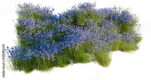 Iris Flower tree shrub, plant bush, cutout, isolate transparent background, Lush Blue Flowers and Green Grass Patch - Perfect for Landscape Design Elements