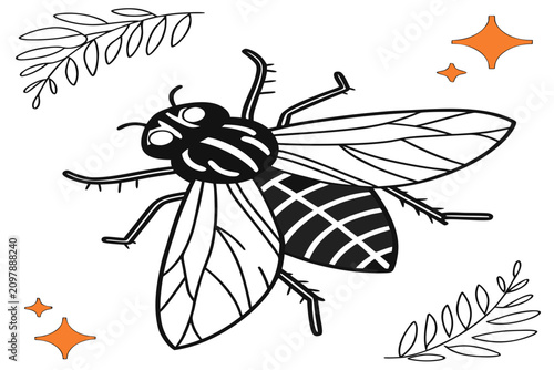 coloring page line art the halloween fly animal black vector