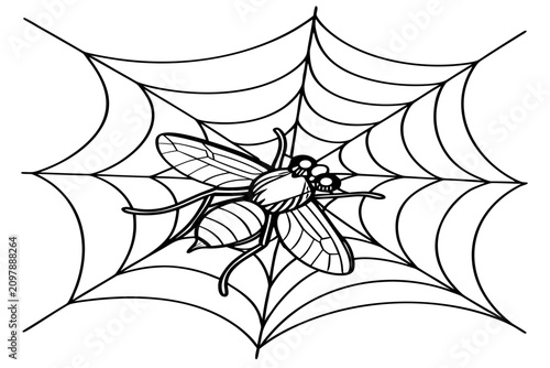 coloring page line art the halloween fly animal black vector