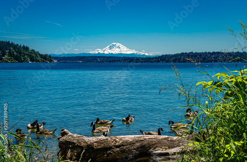 Park Lake And Mountain 2