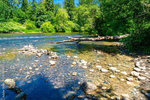Washington River In Summer