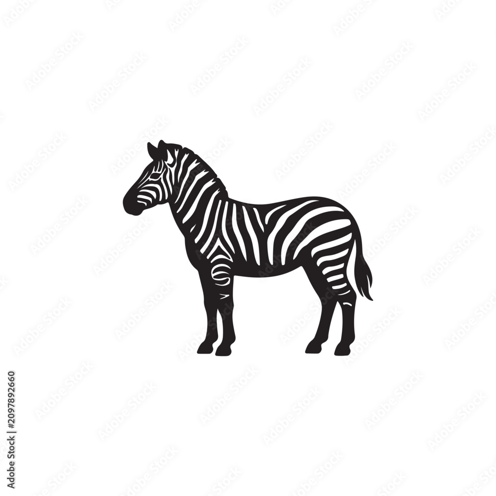 Fototapeta premium Zebra vector illustration silhouette vector icon design on white background.