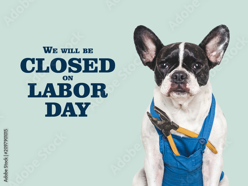 We will be closed on Labor Day. Sign featuring a cute French bulldog in blue overalls. Symbolizes Labor Day, hard work, and blue-collar jobs. Ideal for social media, marketing, and lifestyle content