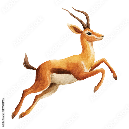 A gazelle is running very fast.