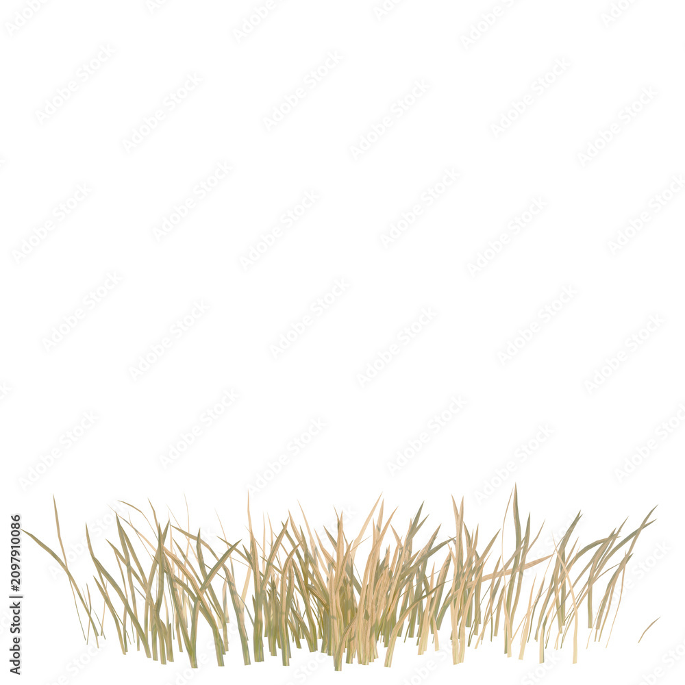 Fototapeta premium Iris Flower tree, elevation, front view, cutout, transparent background, isolate, Detailed grassy border with golden tones - perfect for adding a natural touch to any design.