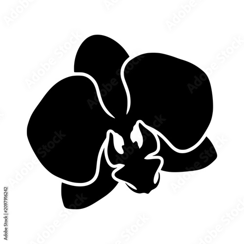 Orchid flower silhouette vector illustration