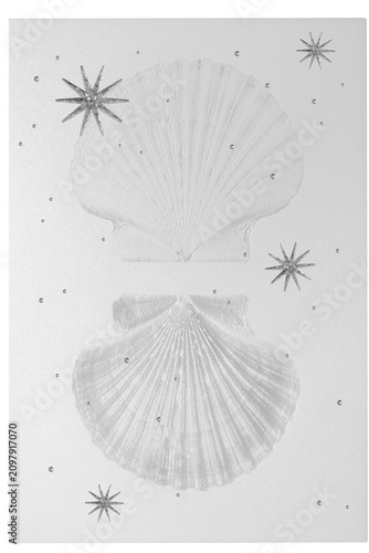 Canvastavla Semi-transparent textured vellum paper with embossed seashells and silver embellishments