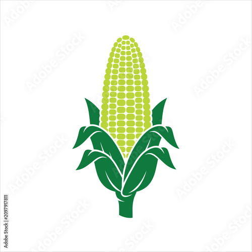 Vibrant vector illustration of a corn on the cob with green leaves on white background, flat design aesthetic, professional 2D graphic for modern branding and web graphics.