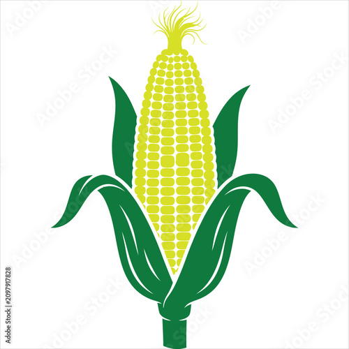 Vibrant vector illustration of a single corn on the cob with green leaves on white background, flat design style, professional 2D graphic for modern branding and web design.