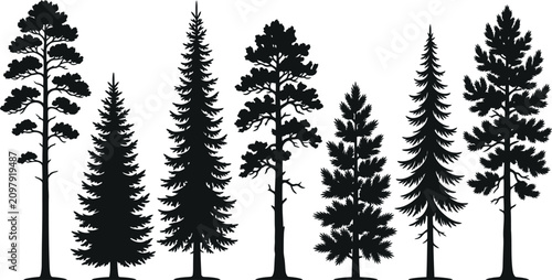 Tableau sur toile Pine tree silhouettes vector set evergreen forest woods isolated on white backgr