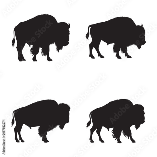 American Bison Standing Silhouette Vector Isolated on White