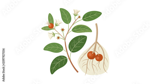 Bild auf Leinwand Illustrated hanging bird feeder with fruit on green leaves and branches Vector