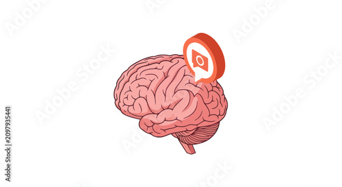 Human brain with digital notification speech bubble