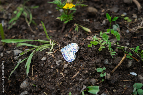 Obraz na plátně Shiny Textured Heart Charm Lying in Dark Soil Among Plants