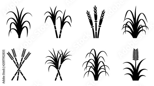 Obraz na płótnie Black and white stylized feather duster and broom illustrations Vector