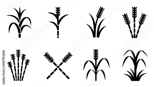 Bild auf Leinwand Various stylized wheat and corn stalks illustration collection Vector