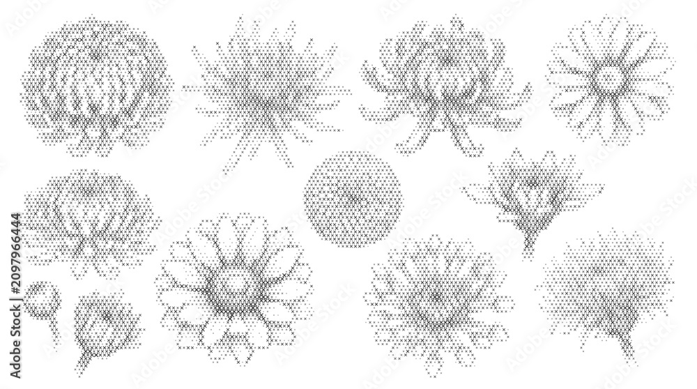 Obraz premium chrysanthemum nature plant flora cross stitch set botanical flower leaf blossom bloom embroidery folk engraving ethnic vector illustration graphic design
