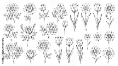 Canvastavla ethnic autumn nature plant cross hatch elements flora botanical flower leaf blos
