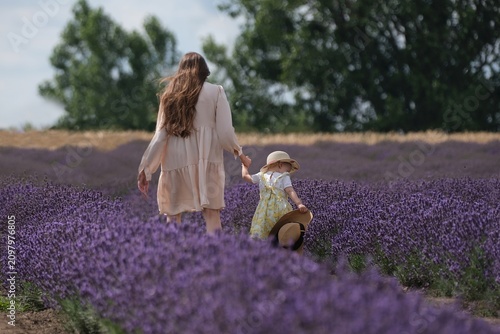 Woman in cream-colored dress with young daughter are walking on blooming lavender field.