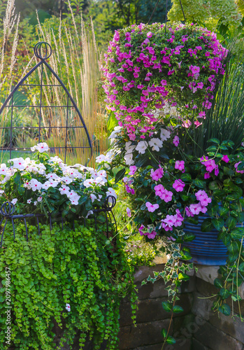 A vibrant summer display of pink calibrachoa, white sphere vinca with polka dot centers, cascading creeping Jenny and ornamental grasses surrounds a graceful garden obelisk.