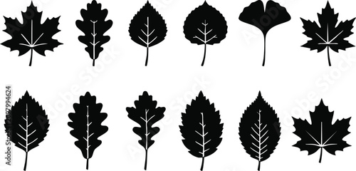 фотографія A collection of twelve black leaf silhouettes of various tree species arranged i