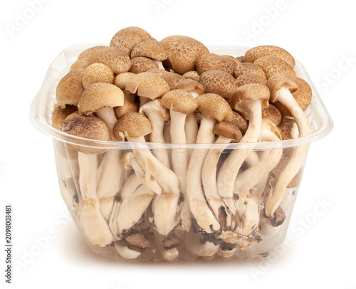 enoki mushroom path isolated on white