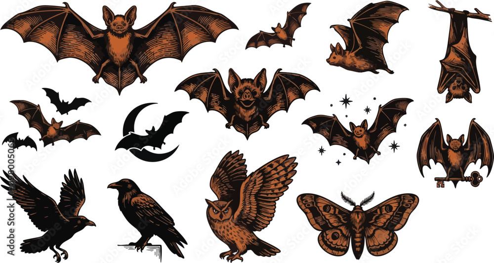 Obraz premium Gothic bat and nocturnal animal vector collection in vintage woodcut illustration style