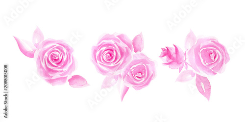 Floral delicate pink roses watercolor isolated illustration set. Hand drawn botanical clipart for wedding invitations, feminine branding, greeting cards, and scrapbooking designs. Minimal drawing.  