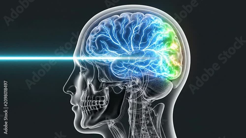 3D Transparent Brain Scan Illustrating Neural Activity for Concussion Recovery in Medical and Digital Health Context