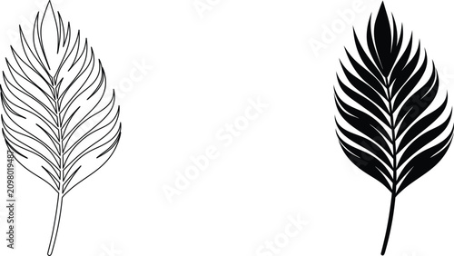 Palm tree leaf black silhouette vector illustration isolated on transparent background outline line art icon.