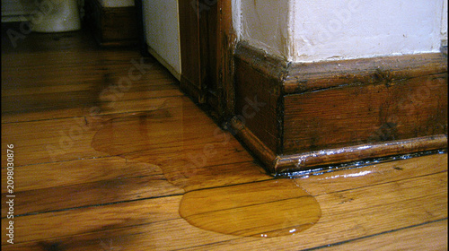Standing water on polished hardwood floor near baseboard suggests water damage and a possible leak