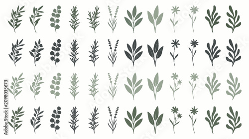Collection of various leafy green plant illustrations.