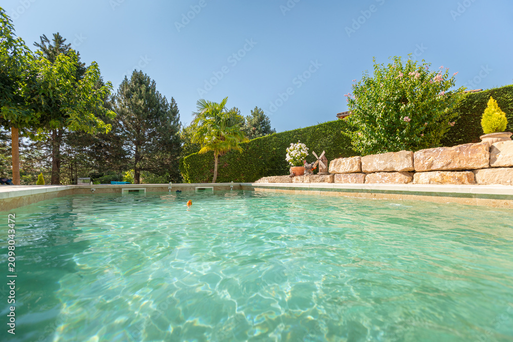Fototapeta premium une piscine dans un jardin en saison d'été
