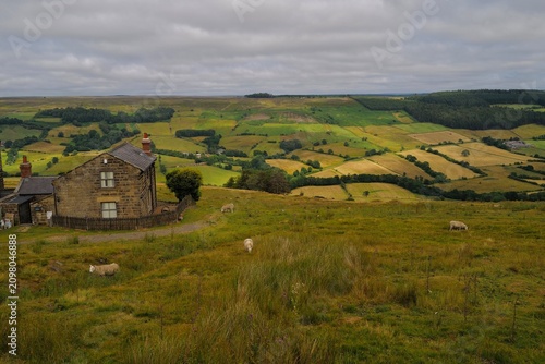 Yorkshire Moors