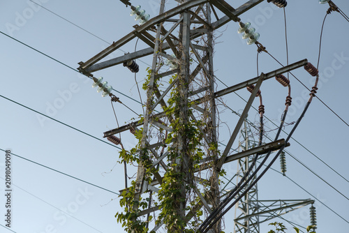 Vegetation across an electricity pylon with glass insulators, cables, and overhead power lines against a clear sky.