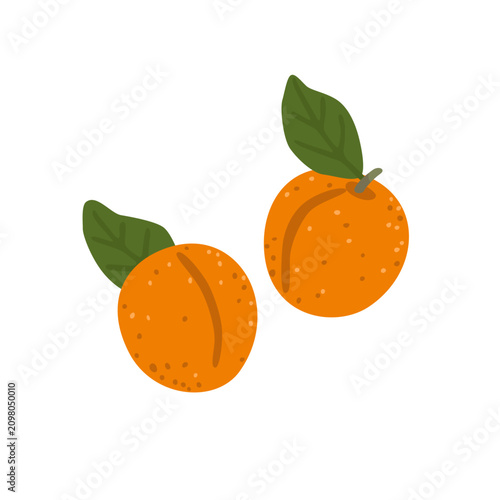 Foto Fresh ripe apricot collection isolated on white background