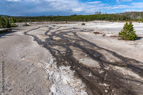 Tableau sur toile Geothermal Drainage Patterns in Back Basin, Norris Geyser Basin, Yellowstone Nat