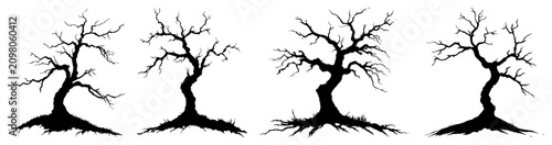 Tableau sur toile Windswept leafless trees with exposed roots in silhouette style