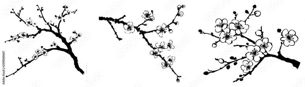 Obraz premium Cherry blossom branches with delicate flowers in traditional oriental ink style