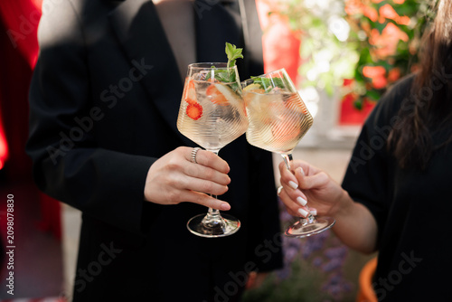 People Toasting Gin Cocktails at Elegant Outdoor Event
Friends Clinking Refreshing Drinks with Fruit Garnish
Summer Celebration with Clear Cocktails and Fresh Berries