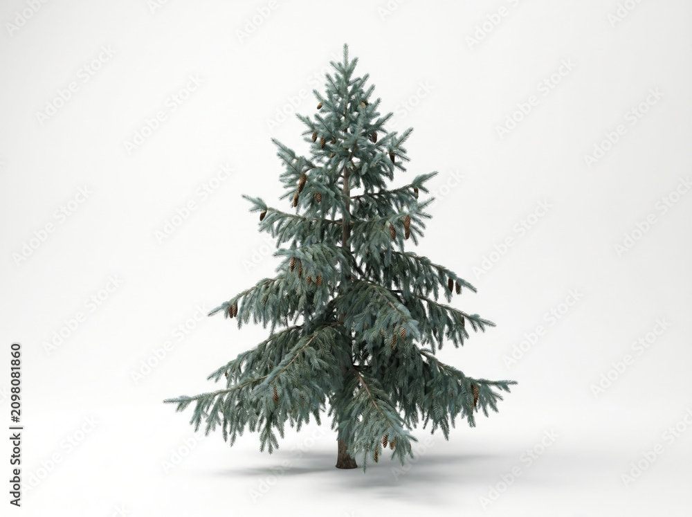 Fototapeta premium Beautiful green christmas tree with snow on branches