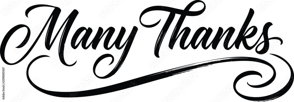 Obraz premium Many Thanks Elegant Script Hand Lettering Calligraphy Typography Vector