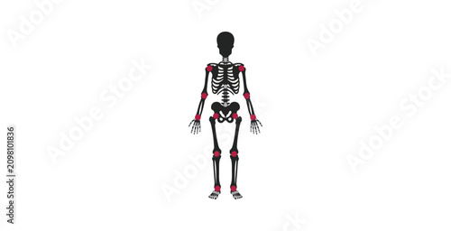 Human Skeleton Anatomy Diagram with Joint Markers
