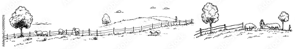 Obraz premium Pastoral countryside scene with sheep grazing on rolling hills near wooden fences in hand drawn doodle style