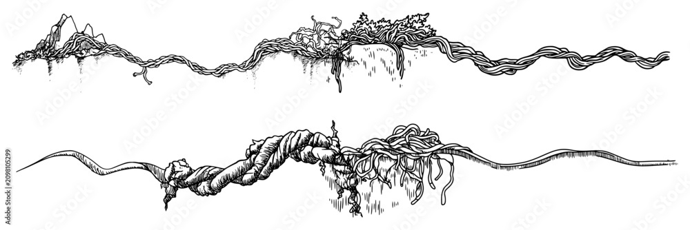 Obraz premium Tangled tree roots and climbing vines growing along ground in hand drawn ink sketch style