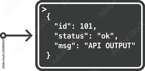API output format highlights a JSON structured response object ready for web integration.