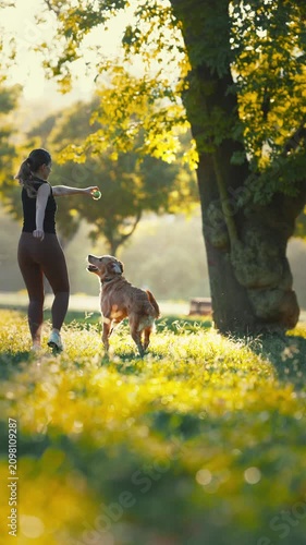 Woman with brown hair in black tank top plays with golden retriever dog in sunlit park, surrounded by green grass and trees during a warm afternoon
